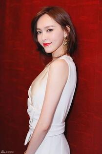 张龙前妻爆料视频大全,揭秘婚姻内幕与情感纠葛  第1张